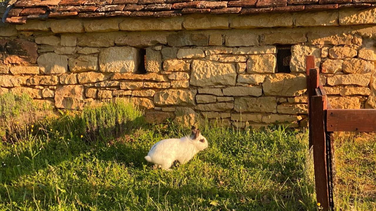 Willa Eco-Hameau Du Sentier Des Sources Sarlat-la-Canéda Zewnętrze zdjęcie